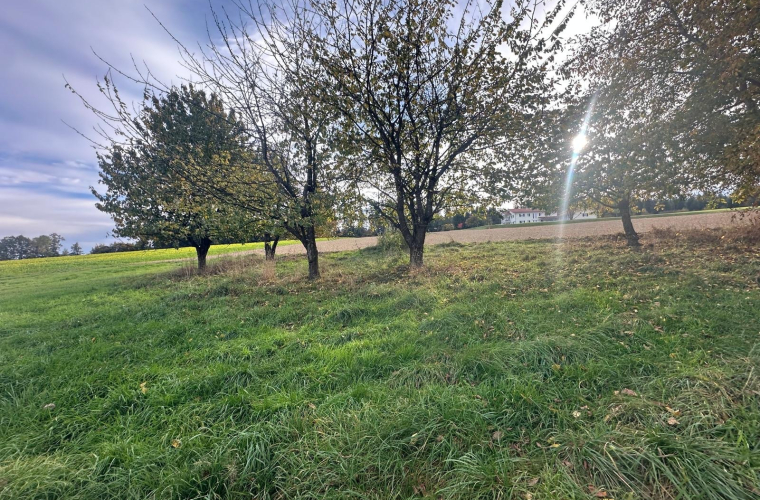 164ceded-f3fd-4981-8759-e2b1f09b0167