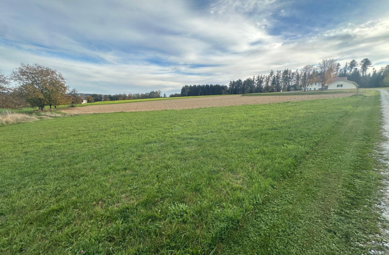 5e11adae-575b-4b08-9fbf-127e0e9584bc