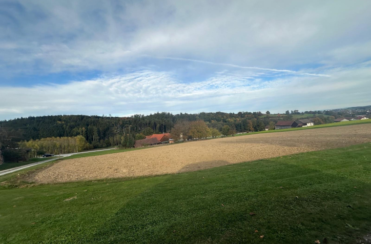 61b21c8e-dd84-4648-82cc-d2dd95447d64