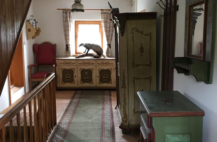 94907e22-06bf-4f94-9354-a2d3b9e6736e